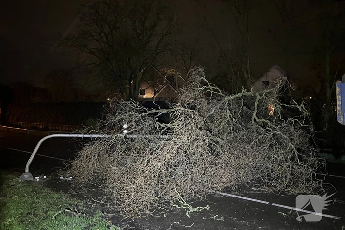 Lantaarnpaal omver door vallende boom