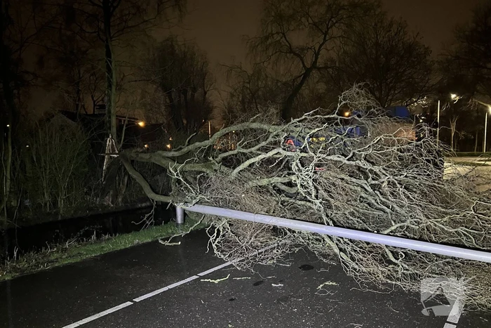 Lantaarnpaal omver door vallende boom