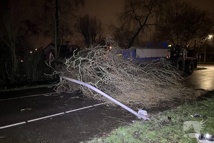Lantaarnpaal omver door vallende boom