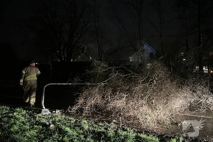 Lantaarnpaal omver door vallende boom