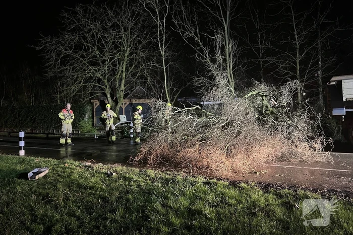 Lantaarnpaal omver door vallende boom