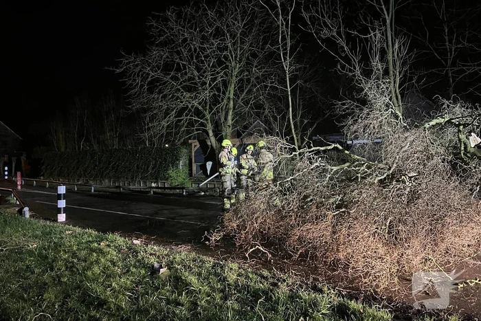 Lantaarnpaal omver door vallende boom