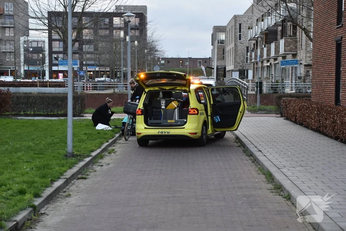 Fietser gewond na val
