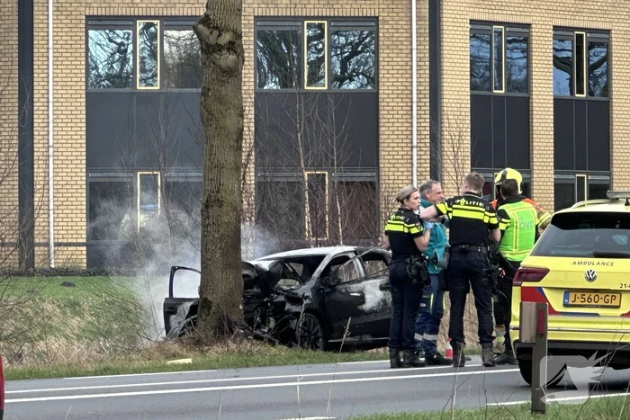 Auto vliegt in brand na frontale botsing tegen boom, bestuurder overleden