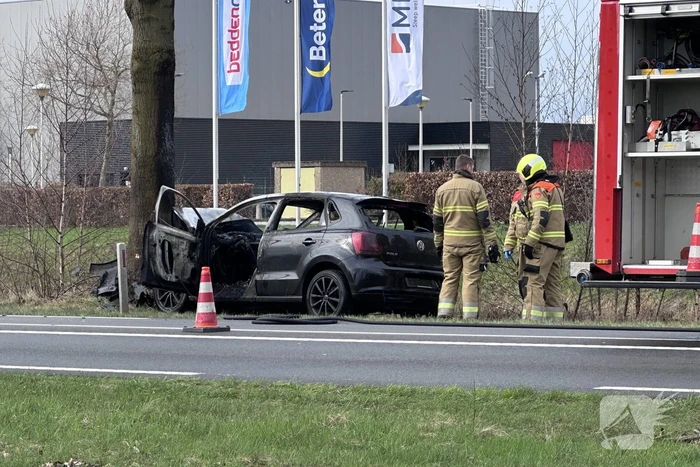 Auto vliegt in brand na frontale botsing tegen boom, bestuurder overleden