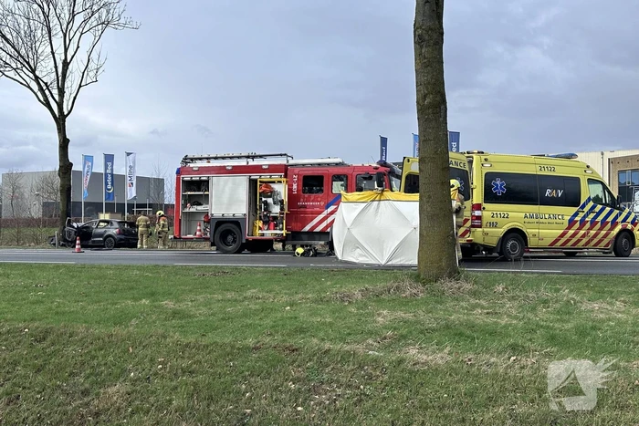 Auto vliegt in brand na frontale botsing tegen boom, bestuurder overleden