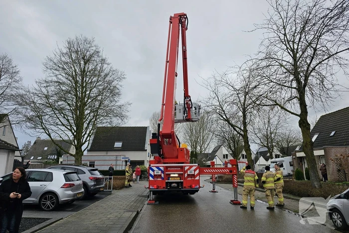 Papegaai Diva gaat ervandoor wanneer brandweer in actie komt