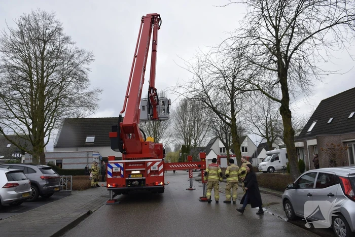 Papegaai Diva gaat ervandoor wanneer brandweer in actie komt