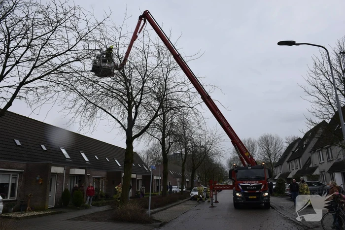 nieuws de gaullesingel ede