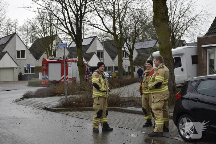 Papegaai Diva gaat ervandoor wanneer brandweer in actie komt
