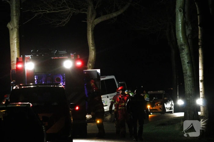 Bus botst frontaal tegen boom