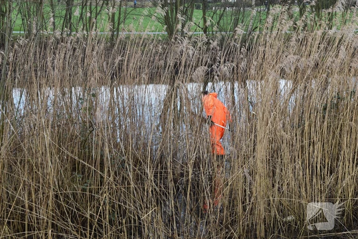 Mogelijk aangereden waterhoen houdt hulpdiensten bezig