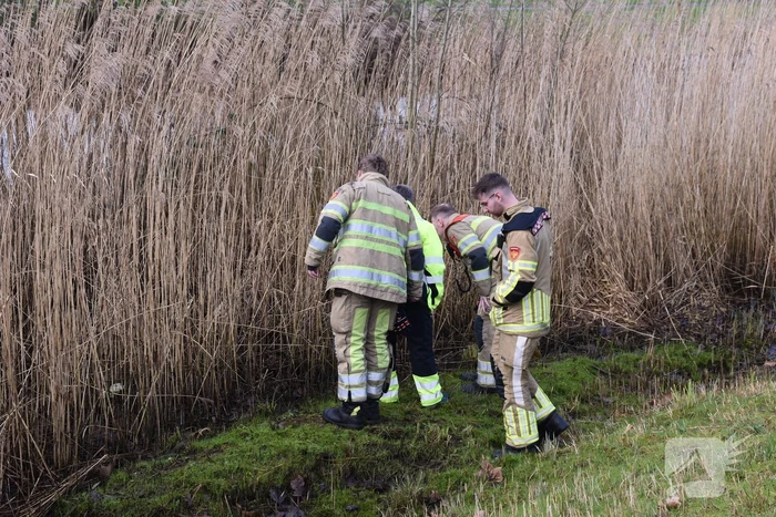 Mogelijk aangereden waterhoen houdt hulpdiensten bezig