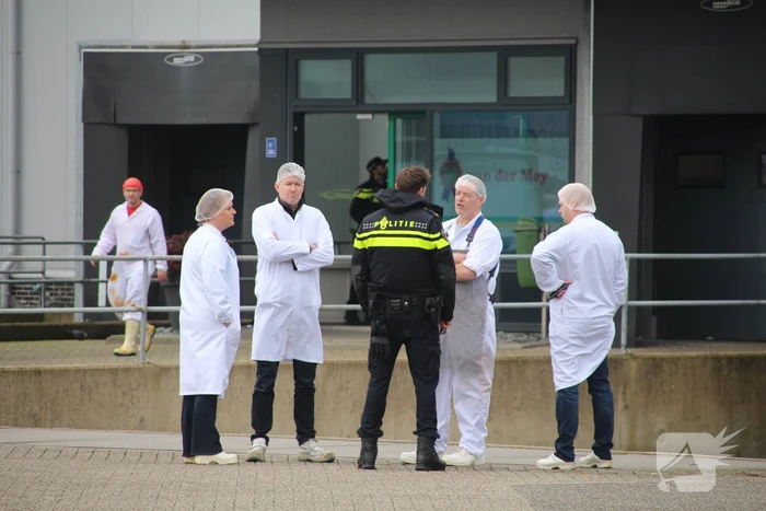 Massale politie-inzet bij melding steekpartij