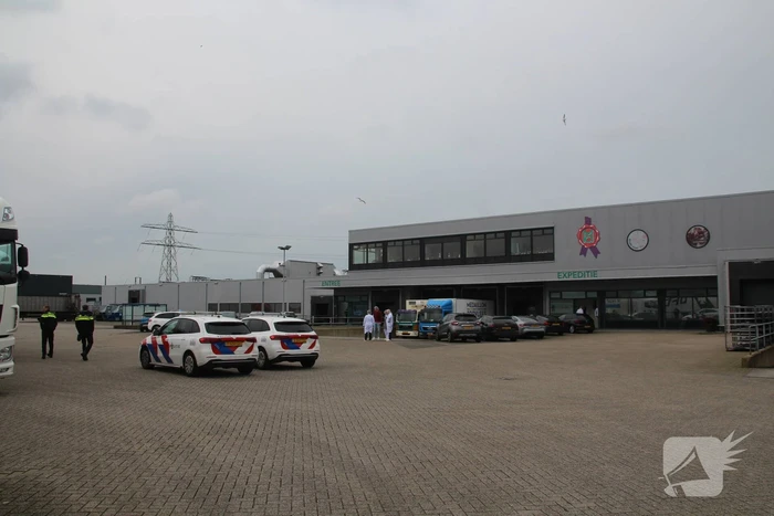 Massale politie-inzet bij melding steekpartij