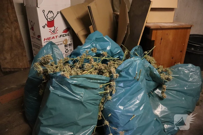 Wietplantage aangetroffen naast politiebureau