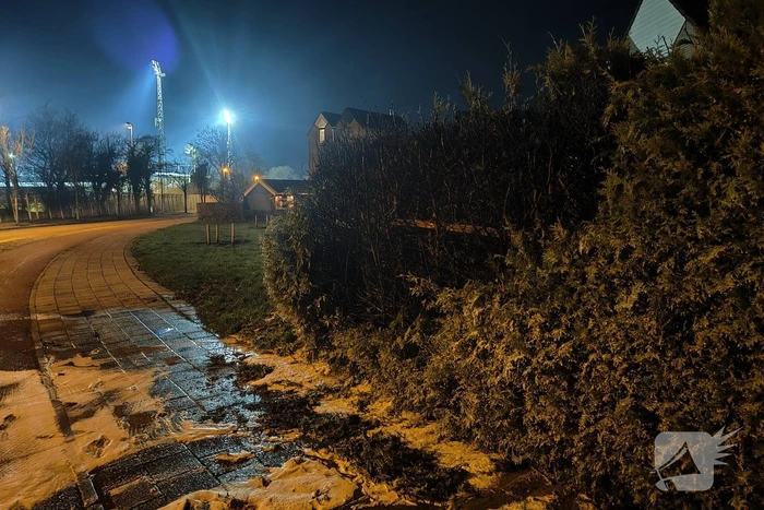 Conifeer vat vlam door vuurwerk