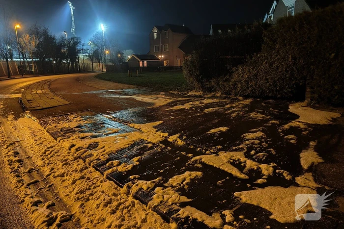 Conifeer vat vlam door vuurwerk