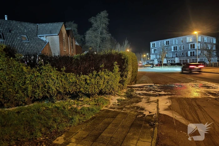 Conifeer vat vlam door vuurwerk