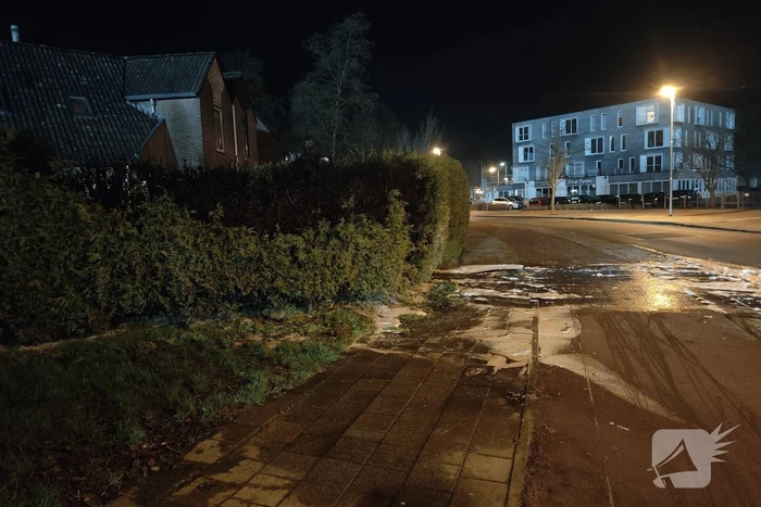 Conifeer vat vlam door vuurwerk