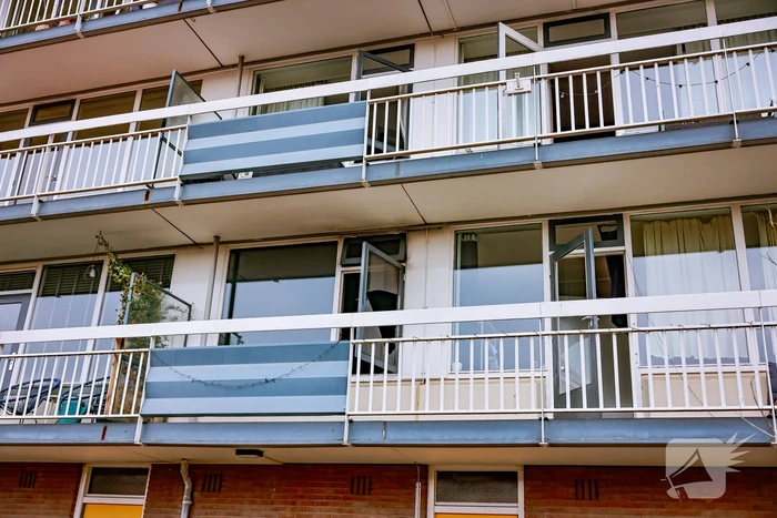 Flatwoning vol rook door brand