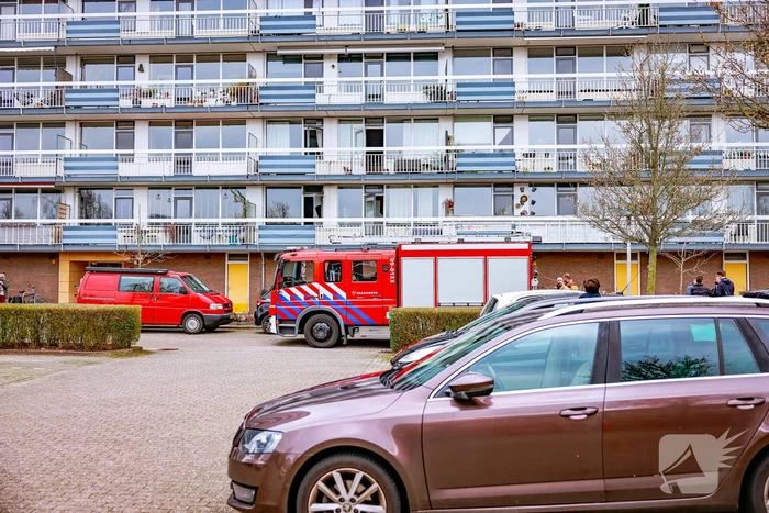 Flatwoning vol rook door brand