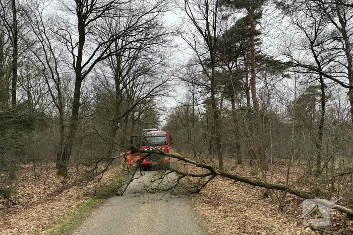 natuur hazenhutsedijk de rips