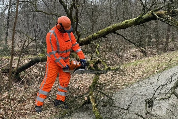 Omgevallen boom verspert weg