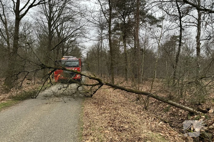 Omgevallen boom verspert weg