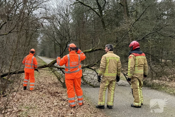 Omgevallen boom verspert weg