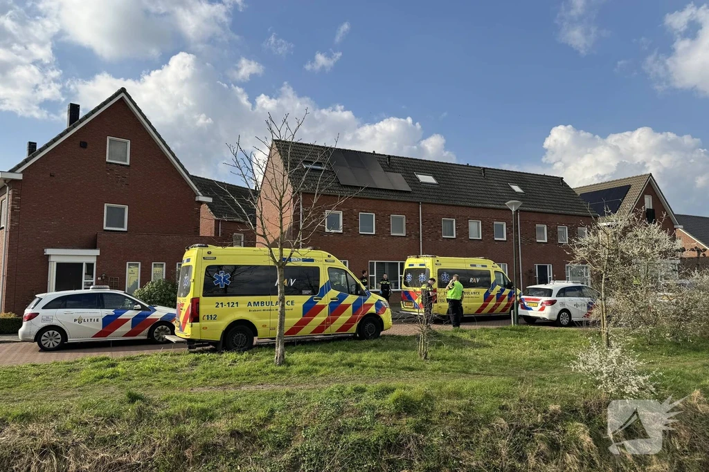 Dotterbloem Nieuws Boekel 