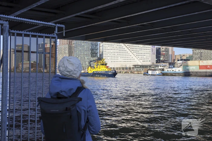 Containerschip vaart tegen Willemsbrug