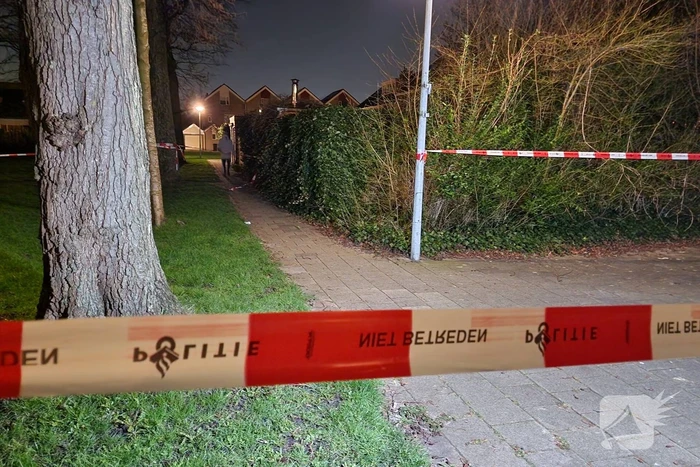nieuws de locomotief koog aan de zaan