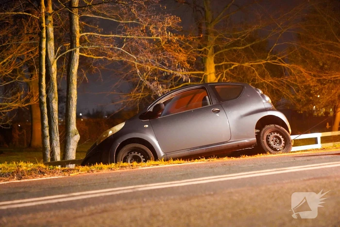 Auto belandt naast weg door kat
