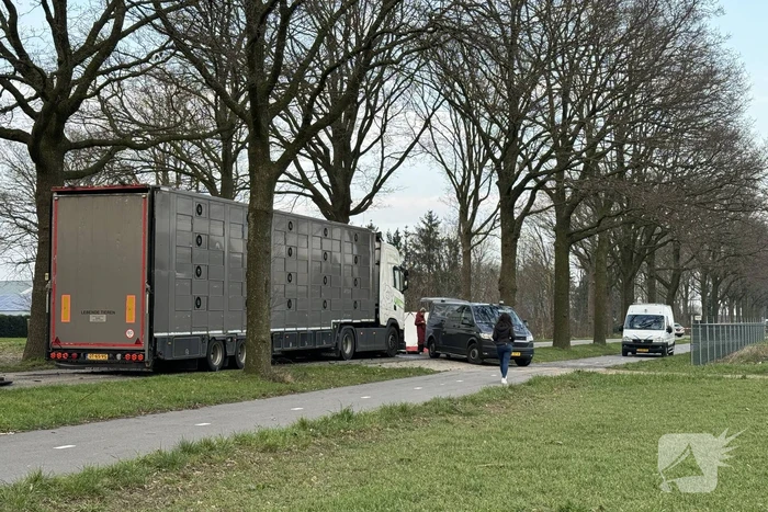 Persoon overleden bij aanrijding tussen personenauto en vrachtwagen