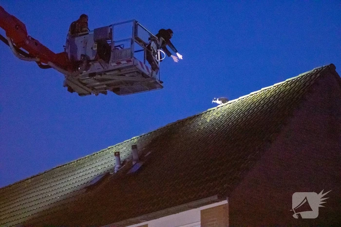 Brandweer helpt bewoner met kat van dak halen
