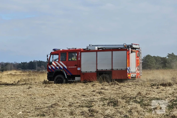 Eerste zeer grote brand in heidegebied een feit