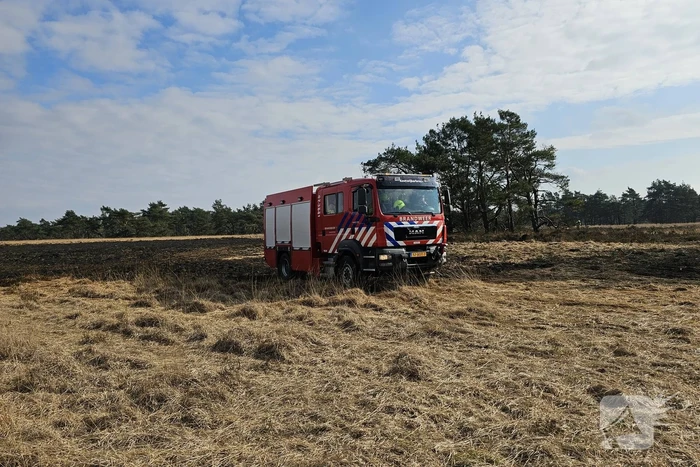 Eerste zeer grote brand in heidegebied een feit