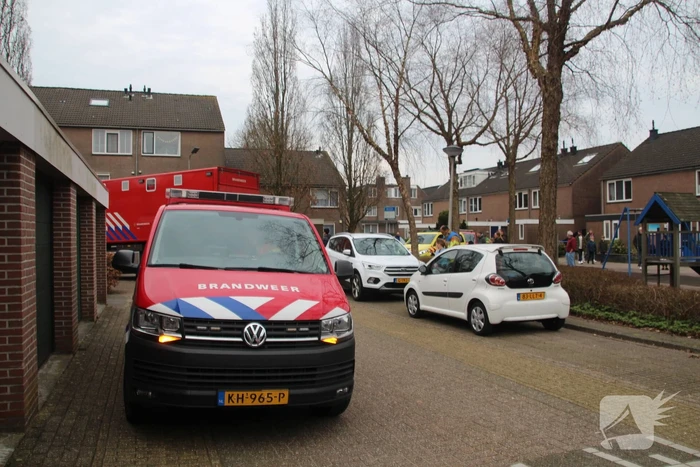 nieuws zwaan zoeterwoude