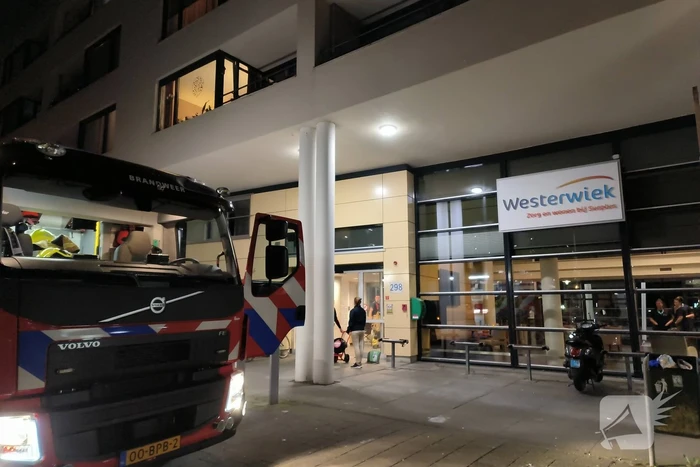 brand argusvlinder breda