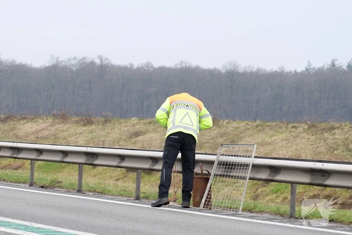 Meerdere auto's met lekke banden vanwege afgevallen lading