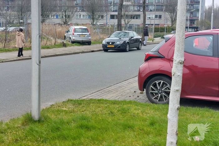 Automobilist rijdt door hek