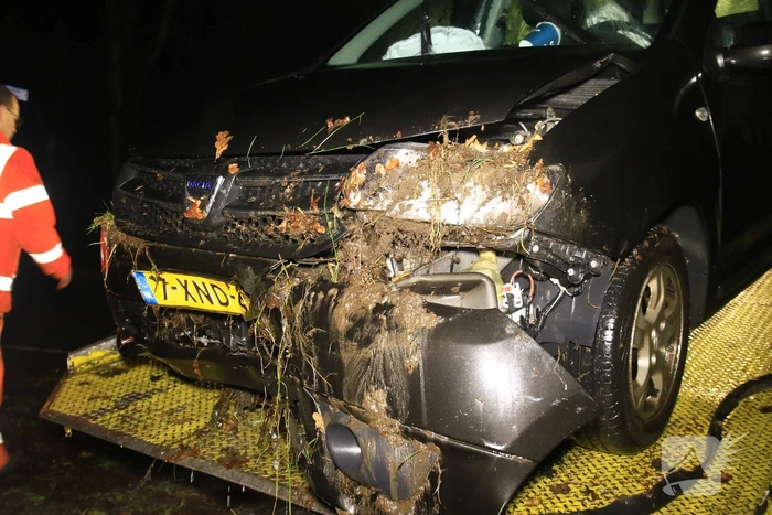 Automobilist verliest macht over stuur en belandt in sloot