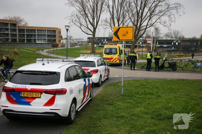 ongeval zwarte pad leiden