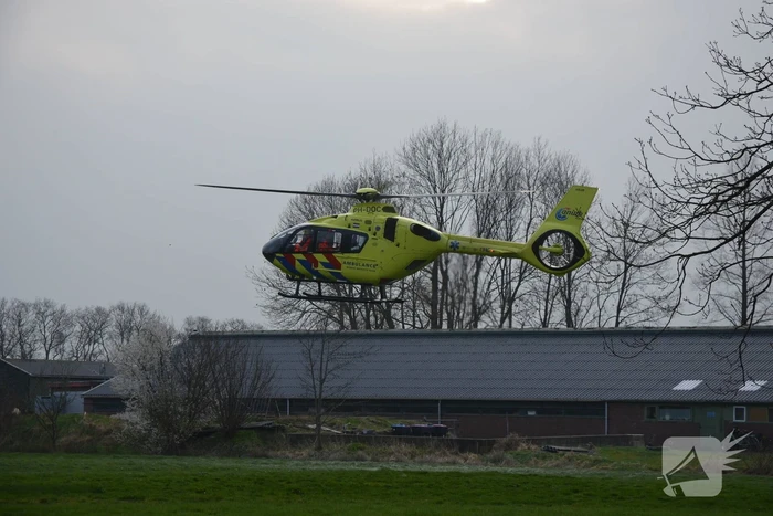 Bestuurder ernstig gewond bij botsing met boom