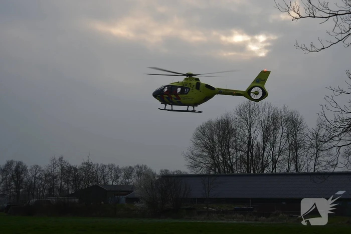 Bestuurder ernstig gewond bij botsing met boom