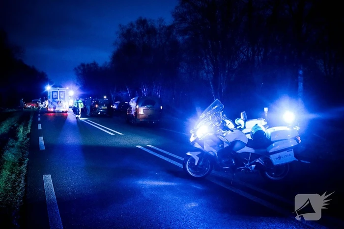 Meerdere auto's botsen op elkaar na uitwijkmanoeuvre overstekende reeën