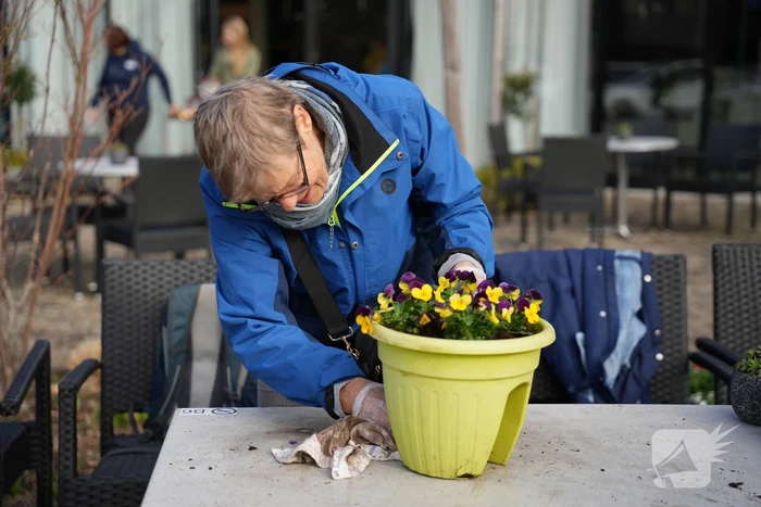 Wethouders en de burgemeester nemen deel aan NLdoet