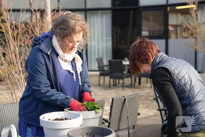 Wethouders en de burgemeester nemen deel aan NLdoet