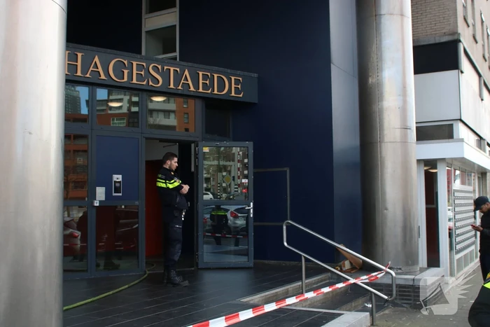 Brand in flatwoning